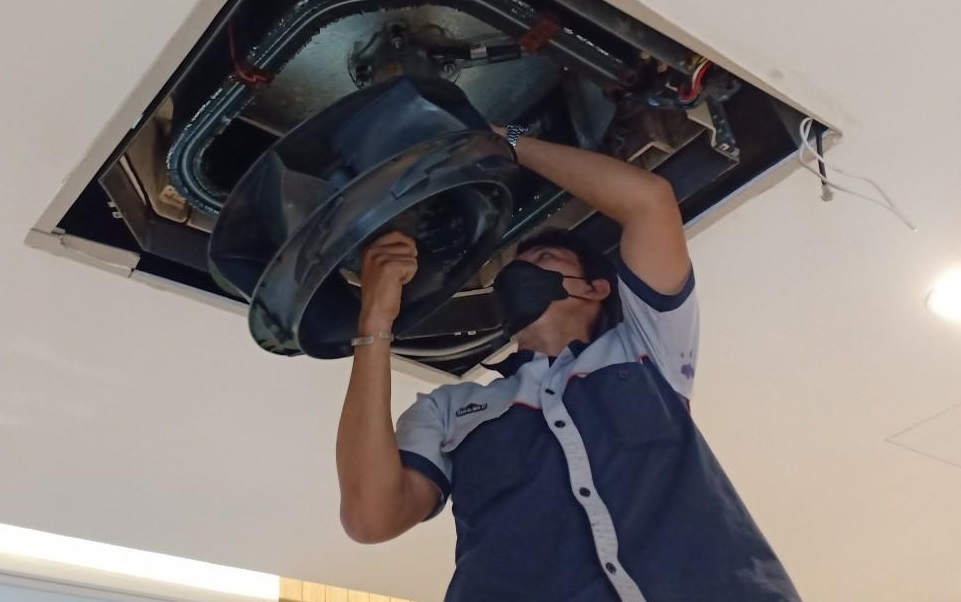 Services LlifeExcellent.